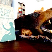 Center for Lost Objects