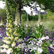 International Garden Festival of Chaumont Sur Loire, France