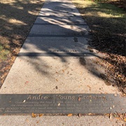 Andrew Young Crossing