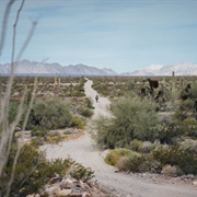 El Camino Del Diablo