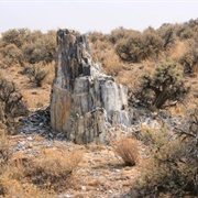 George W. Lund Petrified Forest
