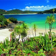 Maitai Bay, Northland, New Zealand