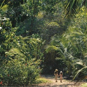 Corcovado National Park, Costa Rica