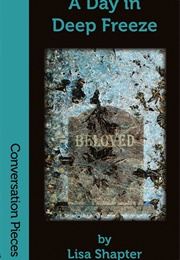 A Day in Deep Freeze (Lisa Shapter)