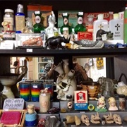 Studio Payne Oddities Shop