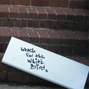 "Watch for the White Bird"