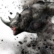 Rhino