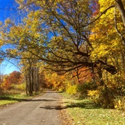 Fox Island Nature Preserve