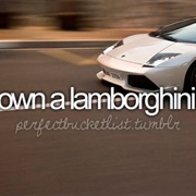 Own a Lamborghini