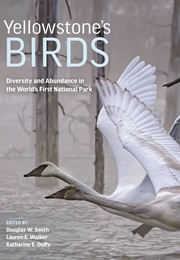 Yellowstone's Birds (Douglas W. Smith)