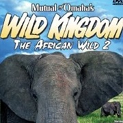 Wild Kingdom