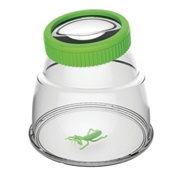 Lata De Insectos Com Lupa