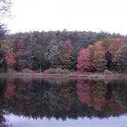 Sweet Pond State Park, Vermont