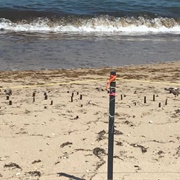 Mysterious Chappaquiddick Shipwreck