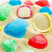 Dye Seashells