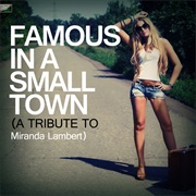 Famous in a Small Town - Miranda Lambert