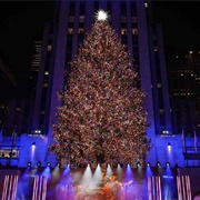 See the Rockefeller Christmas Tree