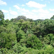 Human-Based Ecosystem