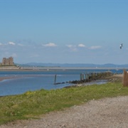 South Walney Nature Reserve