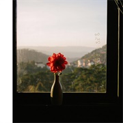 Kasper Lindmark - A Dozen Butterflies