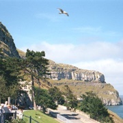 Happy Valley Llandudno, Walks With Oscar