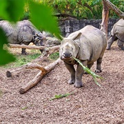 Basel Zoo, Switzerland
