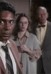 POLICE STORY - "Day of Terror... Night of Fear" - 3/4/78 (1978)