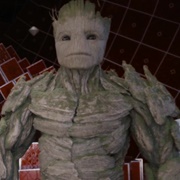 The Groot