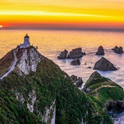 Nugget Point, New Zealand
