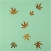 Hype Williams - Untitled