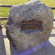 The Old Field of 1800