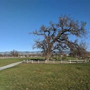 Martial Cottle Park State Recreation Area