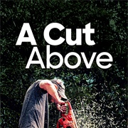 A Cut Above