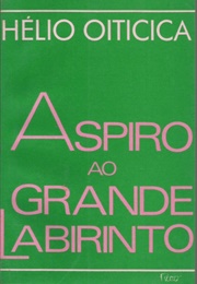 Aspiro Ao Grande Labirinto (Hélio Oiticica)