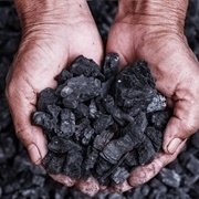 Coal