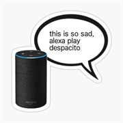 This Is So Sad Alexa Play Despicato