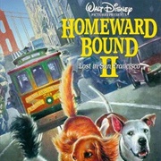 Homeward Bound II: Lost in San Francisco