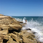 The Rocks - Washington Oaks State Park