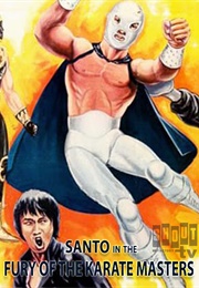 Fury of the Karate Masters (1982)