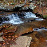 Collins Creek Cascade and Trout Stream