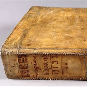 Boston Athenaeum Skin Book