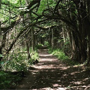 Sugarcreek Metropark