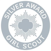 Earn Silver Award