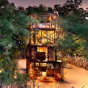Ngala Luxury Treehouse Experience