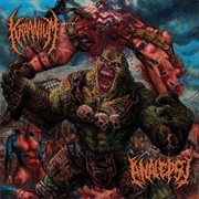 Kraanium / Analepsy - The Kraanialepsy Split