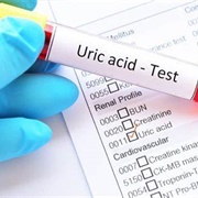 Uric Acid