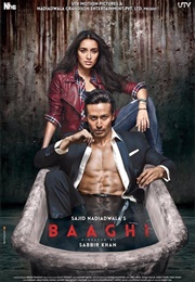 Baaghi (2016)