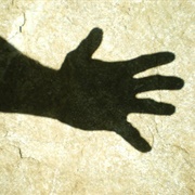Hand Shadow