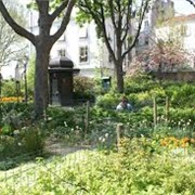 Square Jehan Rictus Paris