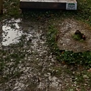 Landscape Fagnes and Surroundings